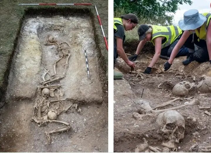 گودال ترسناک پر از اسکلت در یک مزرعه | عکس