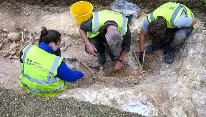 گودال ترسناک پر از اسکلت در یک مزرعه | عکس