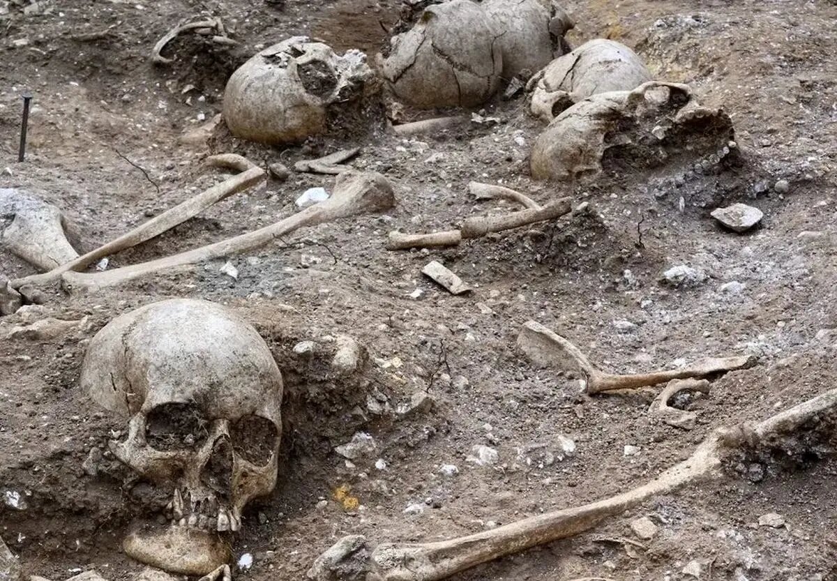 گودال ترسناک پر از اسکلت در یک مزرعه