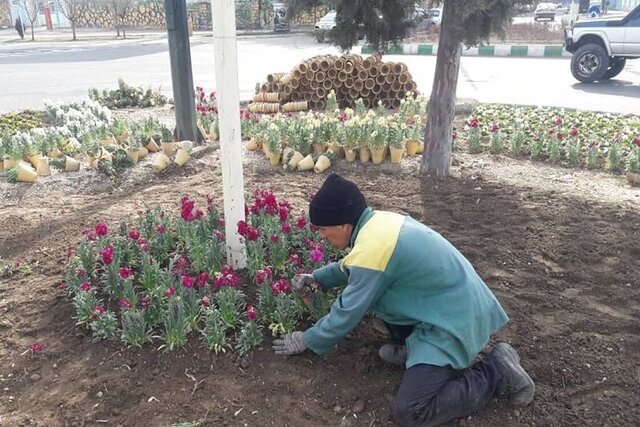 کاشت یک میلیون گل گلدانی در بجنورد در آستانه نوروز