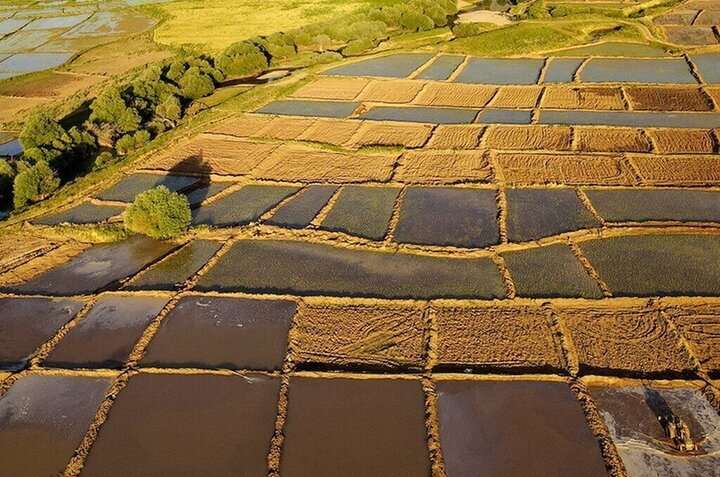 معاملات بدون سند رسمی در محاکم قضایی اعتبار ندارد