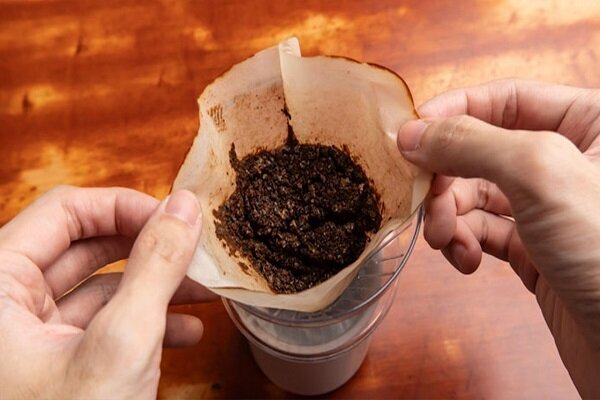 خط قرمزهای تغذیهای در دوران بارداری