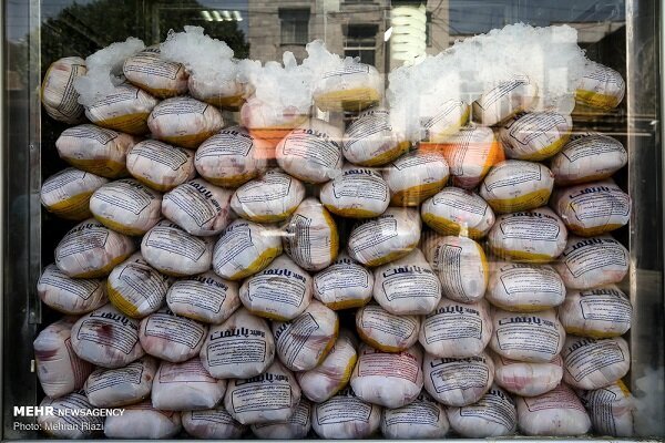 ذخیرهسازی ۲۳۱ تن مرغ منجمد در استان ایلام