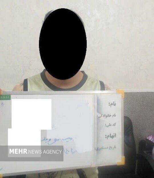 فرمانده انتظامی رباطکریم: اغتشاشگر مسلح و متواری دستگیر شد