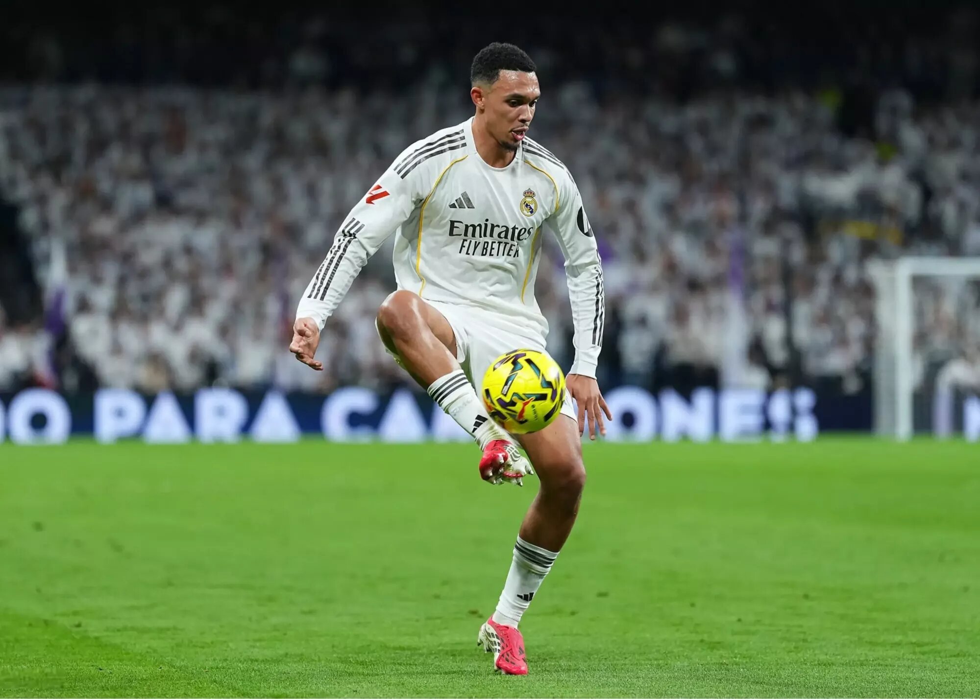 انتقاد تند از توخل: علیه ستاره رئال حرف نزن!