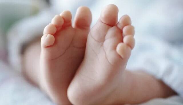 روند کاهشی ولادت طی ۴ سال اخیر