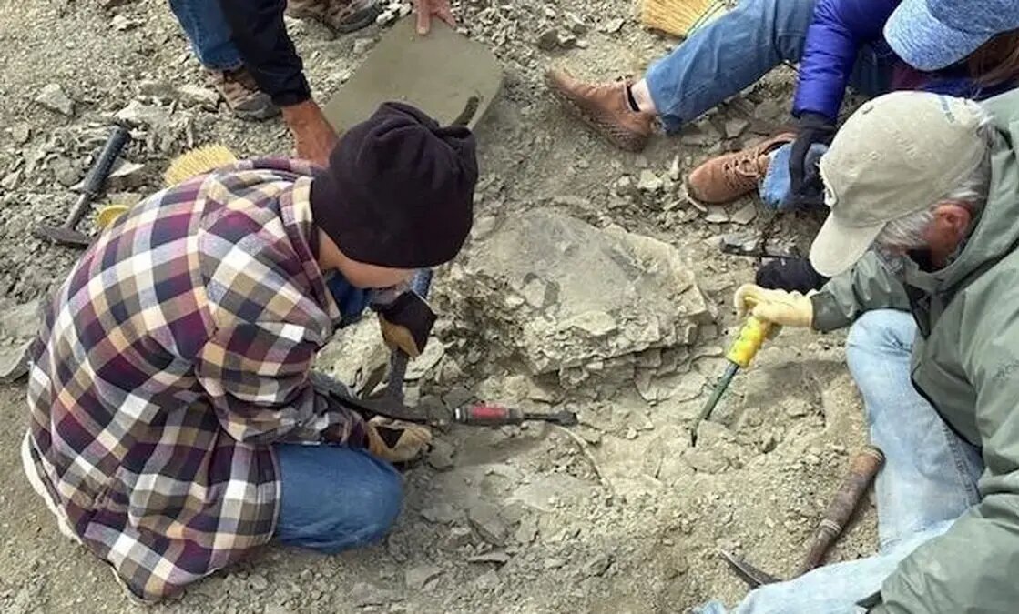 لاک‌پشت ۴۸ میلیون‌ ساله‌ای که در گردش پیدا شد | عکس