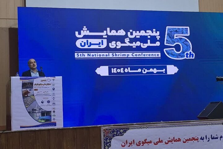 معاون وزیر جهاد کشاورزی: مزارع تولید ماهی و میگو توسعه می‌یابند