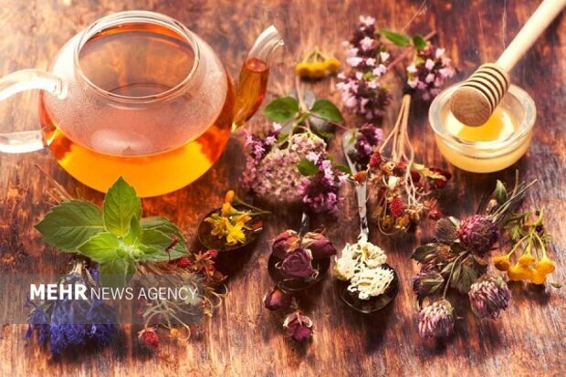 راز یک بارداری بیخطر؛ چند کیلو اضافهوزن مجاز است؟