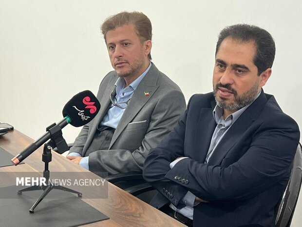 زیتون رودبار؛ میراث تاریخی و فرصت مغفول اقتصادی جنوب گیلان