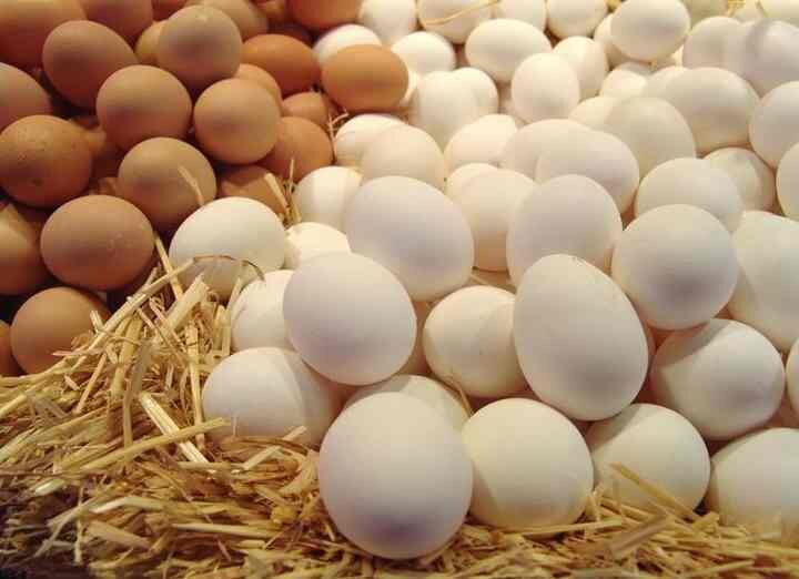 ثبات بازار مرغ و تخم‌مرغ کرج با وجود افزایش مقطعی تقاضا