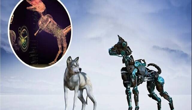 حیوانات مجازی کوری که بینا شدند!