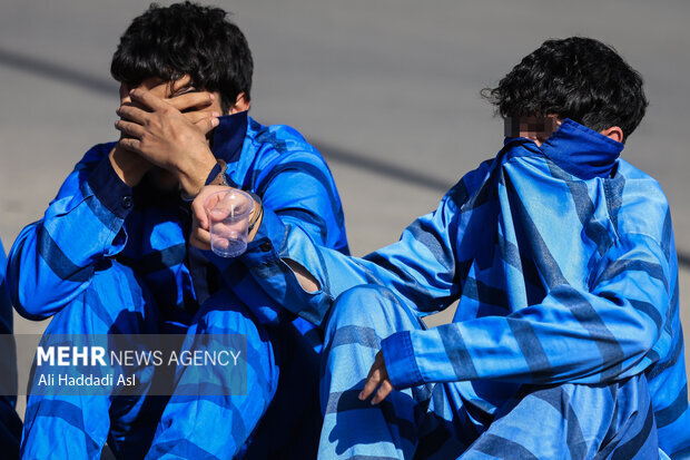 سارقان حرفه‌ای سیم برق در گناوه دستگیر شدند