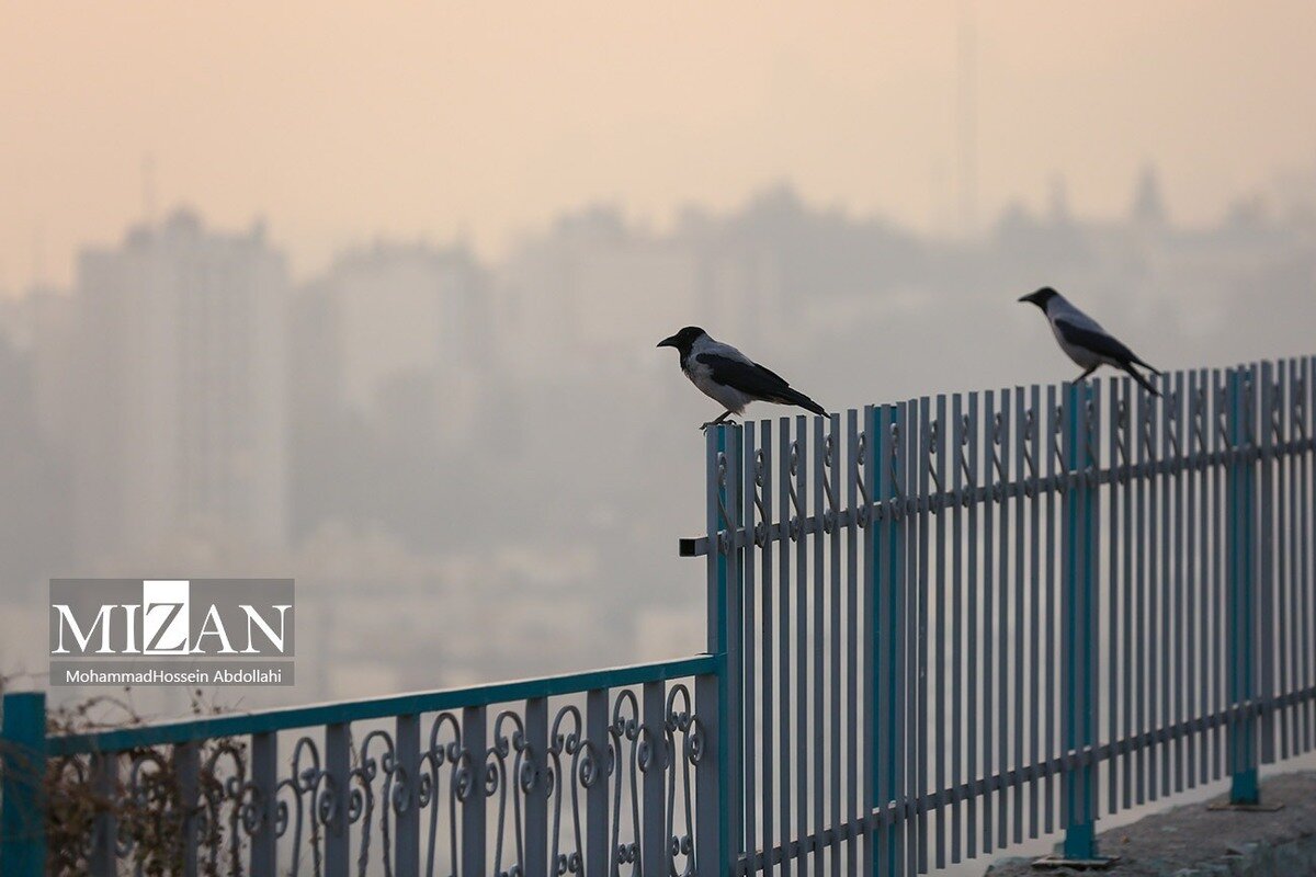 روند افزایشی دما در تهران ادامه دارد/هوای ناسالم برای همه گروه‌های سنی