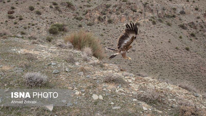 سرشماری منطقه پلنگ‌دره قم برای نخستین بار با استفاده از پهپاد
