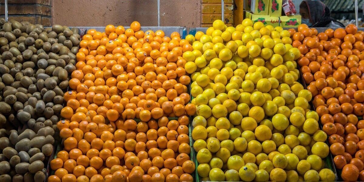 ذخیرهسازی ۴۰۰ تن میوه شب عید در قم