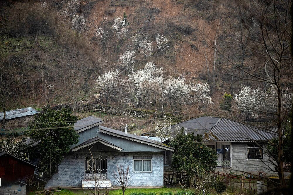 سرما و یخبندان در راه است؟ | یک اقلیم شناس: رسانه‌ ها جنجال می‌ کنند | دلیل گرمای زمستانه چیست؟