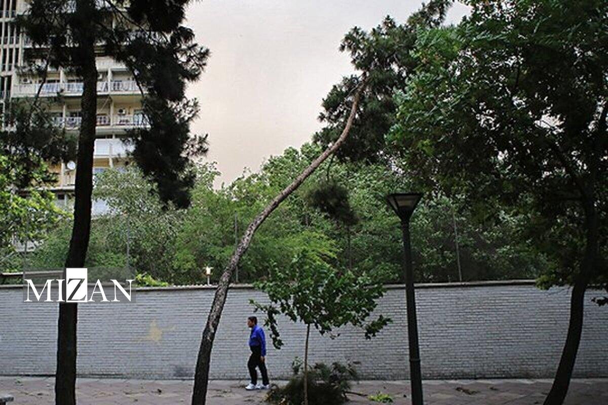 افزایش محسوس دما در شمال‌غرب و استان‌های ساحلی خزر/ وزش باد شدید در برخی استان‌ها