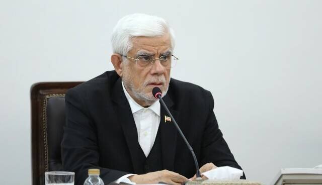 عارف: دولت مال مردمخور نیست