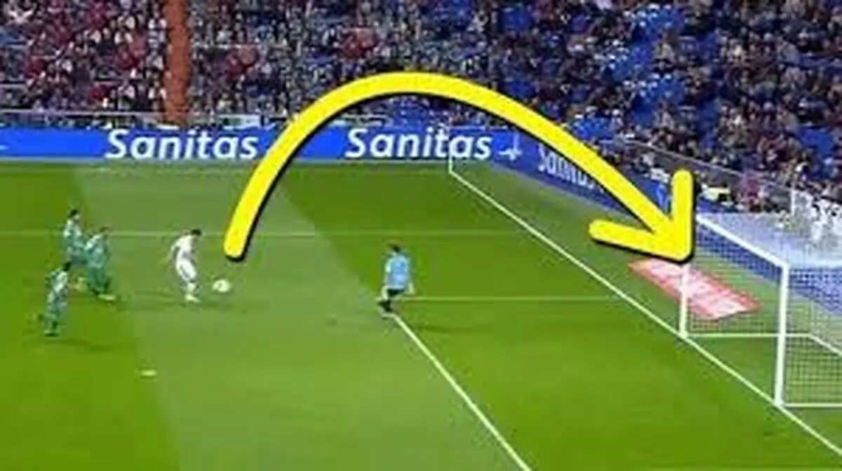 ویدئو: چیپ‌هایی فوق‌العاده که به شکلی زیبا گل شدند