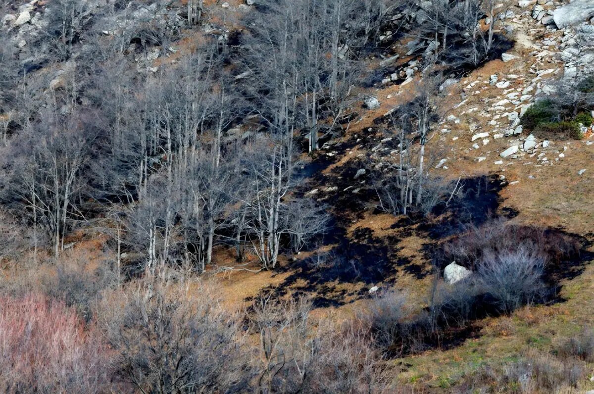 شعلههای آتش در جنگلهای «لیکر» مرزنآباد فروکش کرد؛ مهار کامل حریق با مشارکت همهجانبه