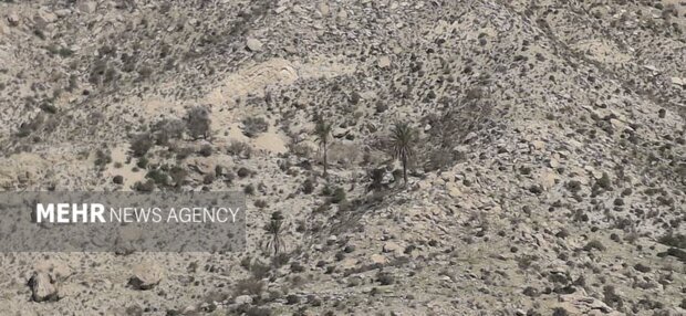 گیسکان بهشت ناشناخته در دل دشتستان؛ گرفتار در تنگنای کمبود زیرساخت‌ها