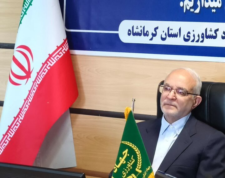 مصری: تفکر دیم‌کاری چالش اصلی کشاورزی کرمانشاه است