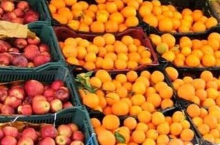 ذخیره ۴۰۰۰ تن مرکبات در میاندورود