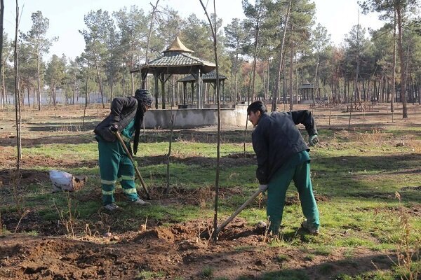 کاشت ۲۴ هزار نهال در بوستان جنگلی سرخه حصار