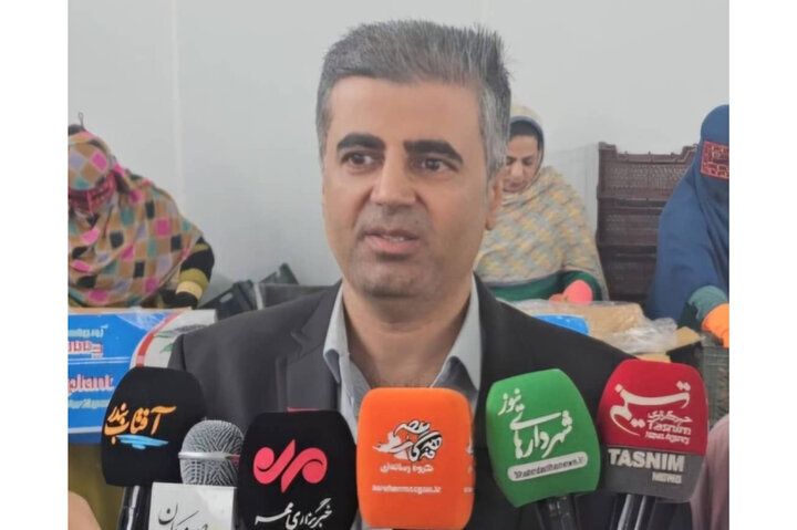 جهش ۱۹۴ هزار تنی در ظرفیت سردخانههای استان هرمزگان