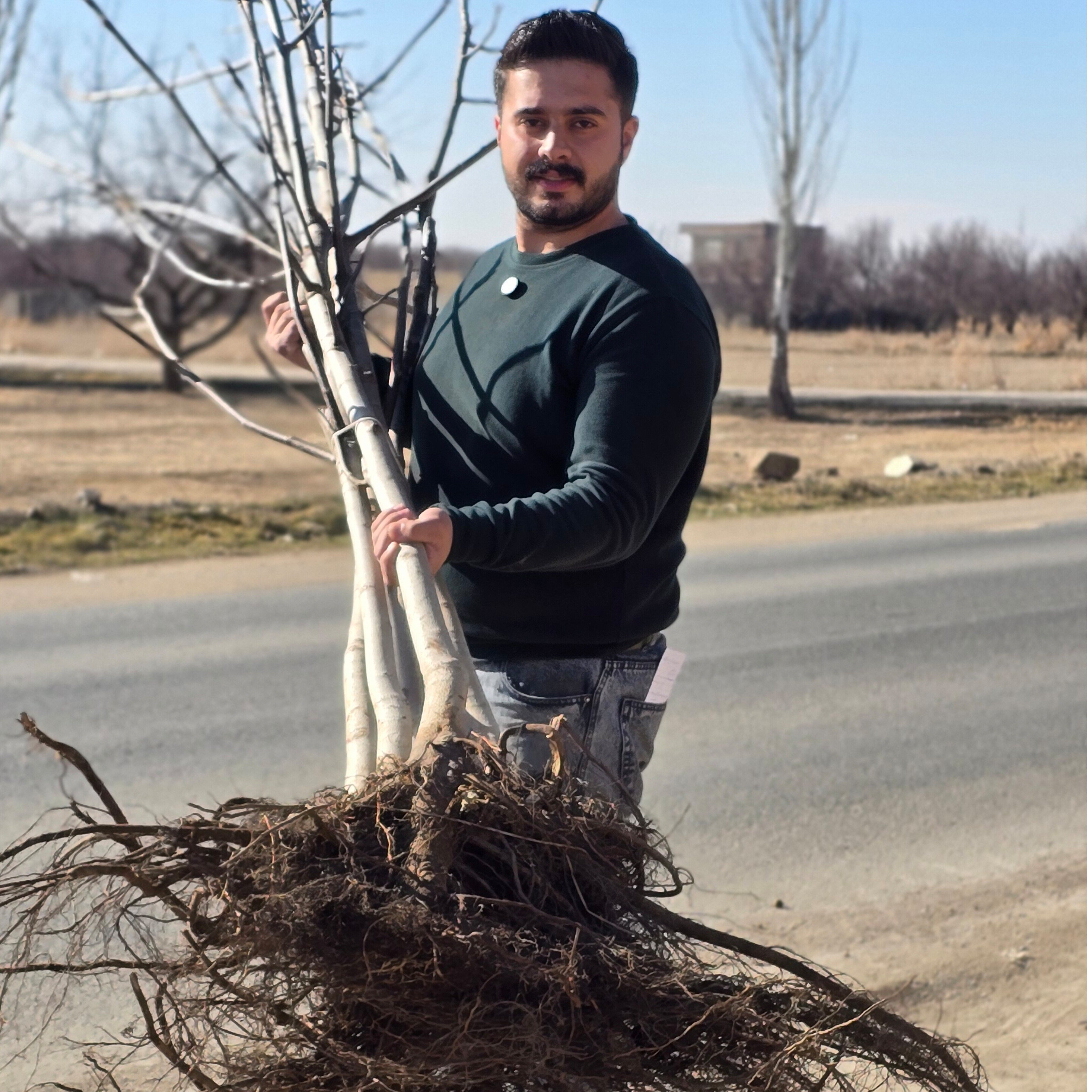 نهال گردو و بادام دیرگل یارانه ای توسط نهالستان نارون کشت