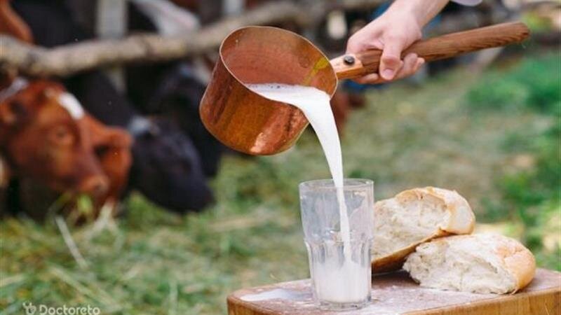 افزایش خطر تب مالت در فصل زایش دامها / مراقب شیر فله باشید