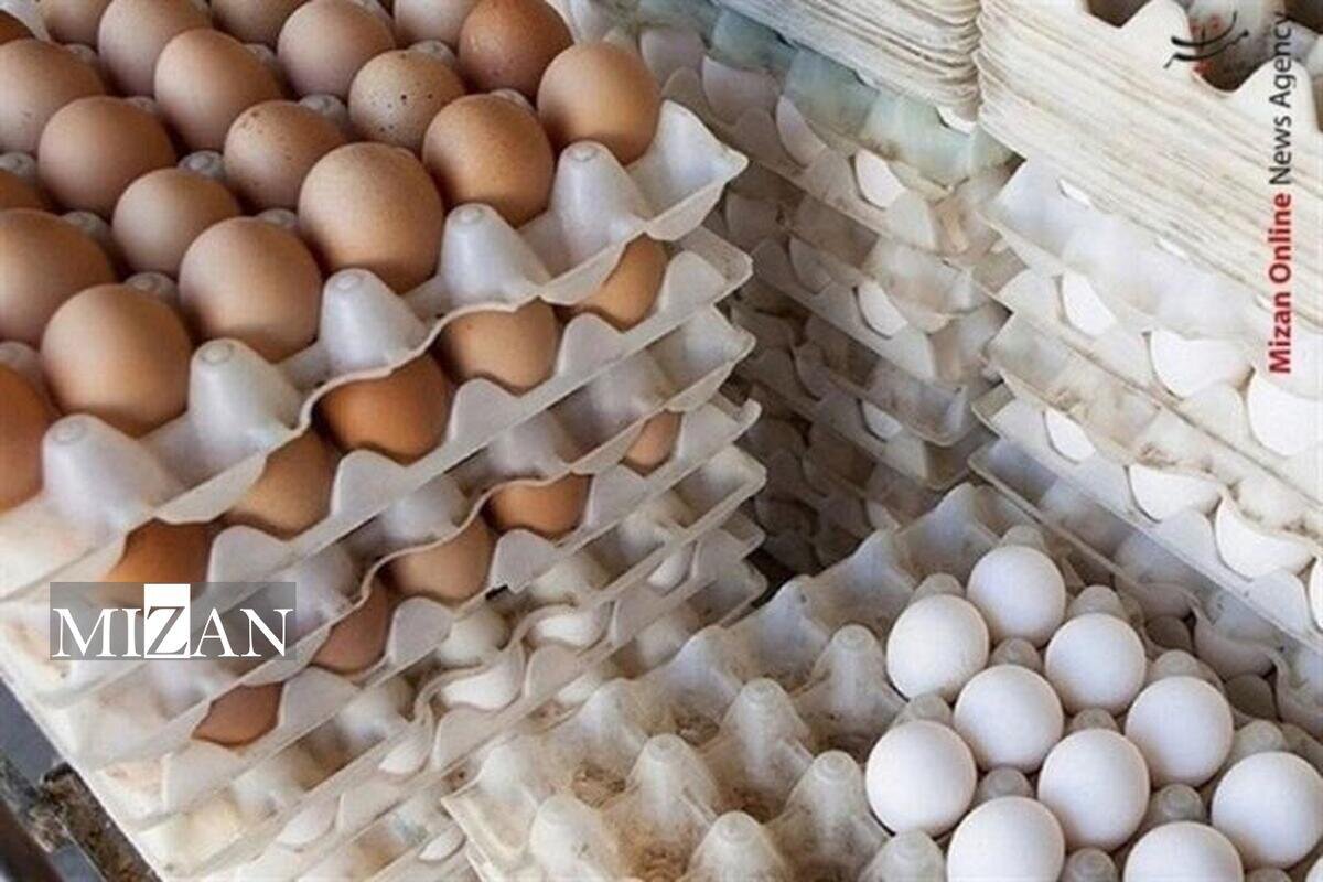 تولید ۳۳ درصد تخم‌مرغ کشور با حمایت دادگستری استان گلستان/ ۸۰ تُن افزایش تولید روزانه و ۴۸۰ شغل جدید