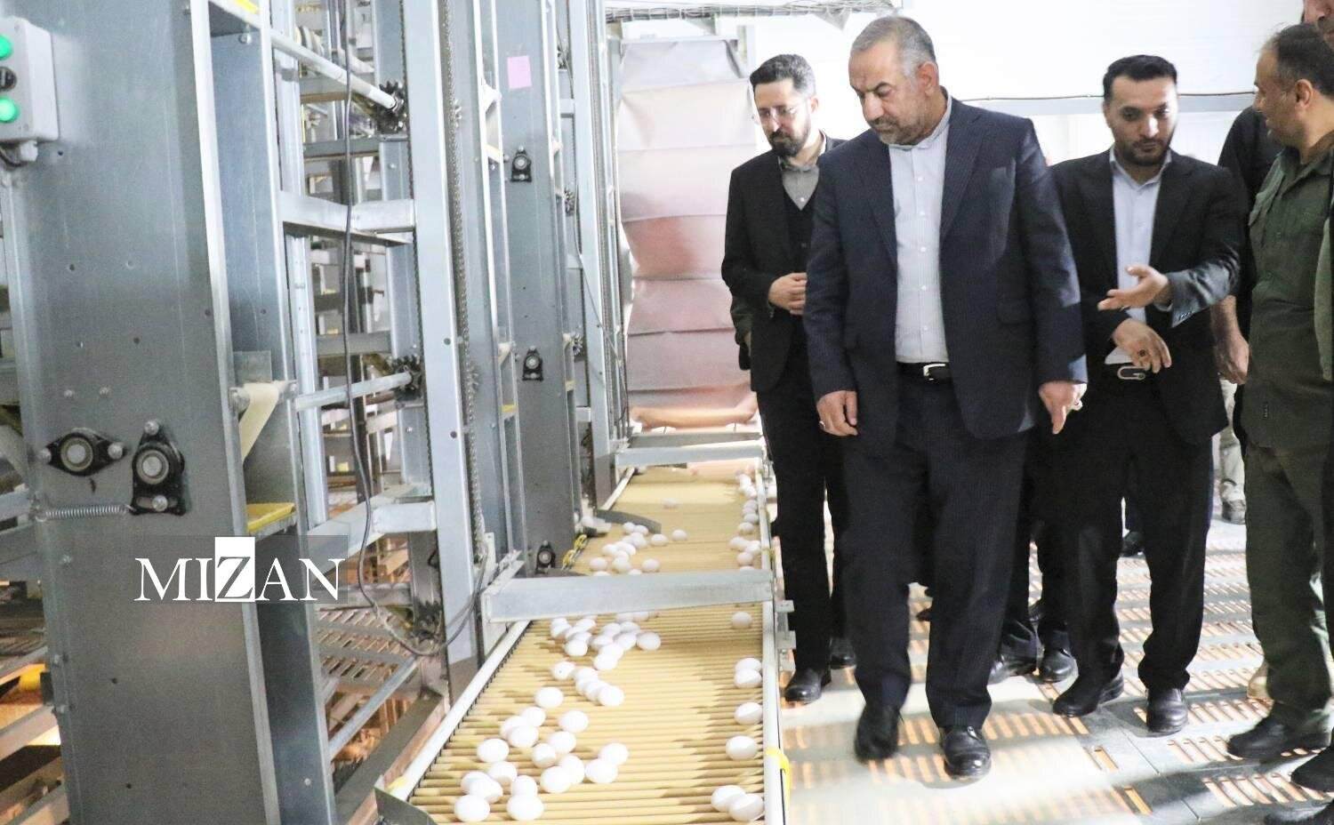 تولید ۳۳ درصد تخم‌مرغ کشور با حمایت دادگستری استان گلستان/ ۸۰ تُن افزایش تولید روزانه و ۴۸۰ شغل جدید