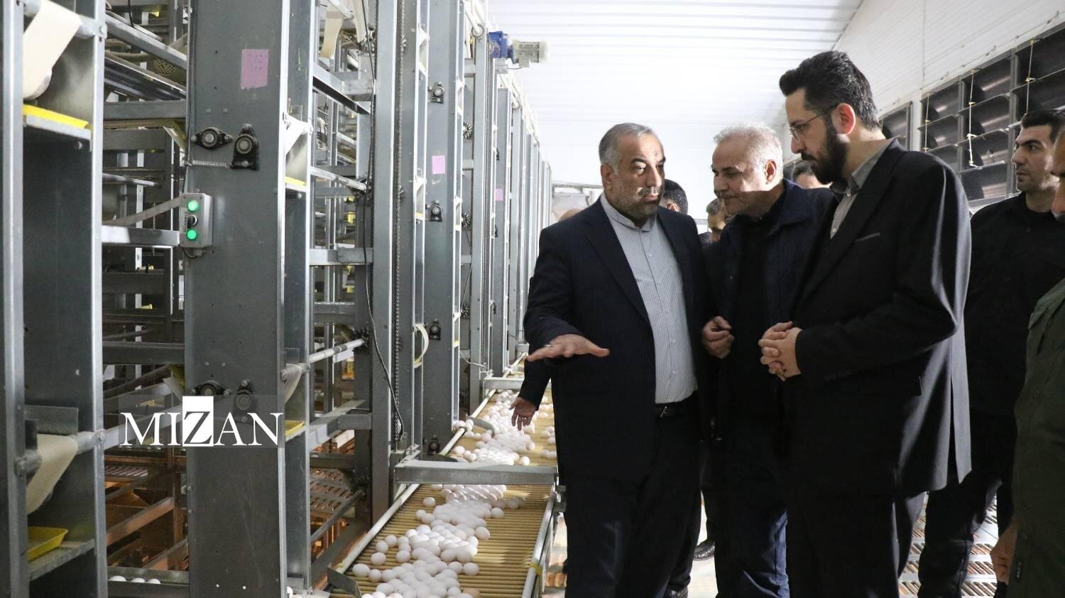 تولید ۳۳ درصد تخم‌مرغ کشور با حمایت دادگستری استان گلستان/ ۸۰ تُن افزایش تولید روزانه و ۴۸۰ شغل جدید
