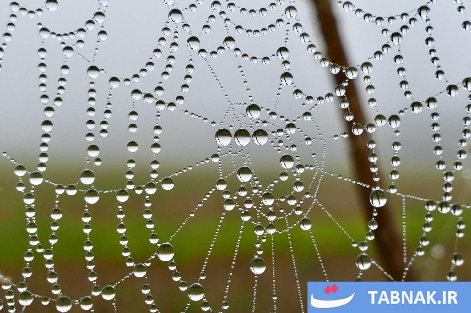 عکس‌/ تصاویر روز جهان