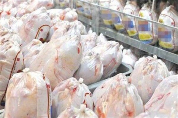 تولید و عرضه بیش از ۸ هزار تن گوشت مرغ در بازار لرستان