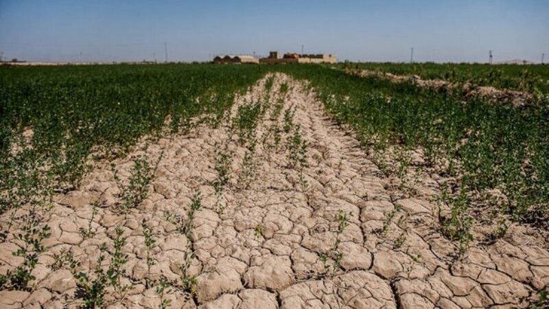 بلایای طبیعی ۷۰ هزار میلیارد ریال به بخش کشاورزی گرمی مغان خسارت زد