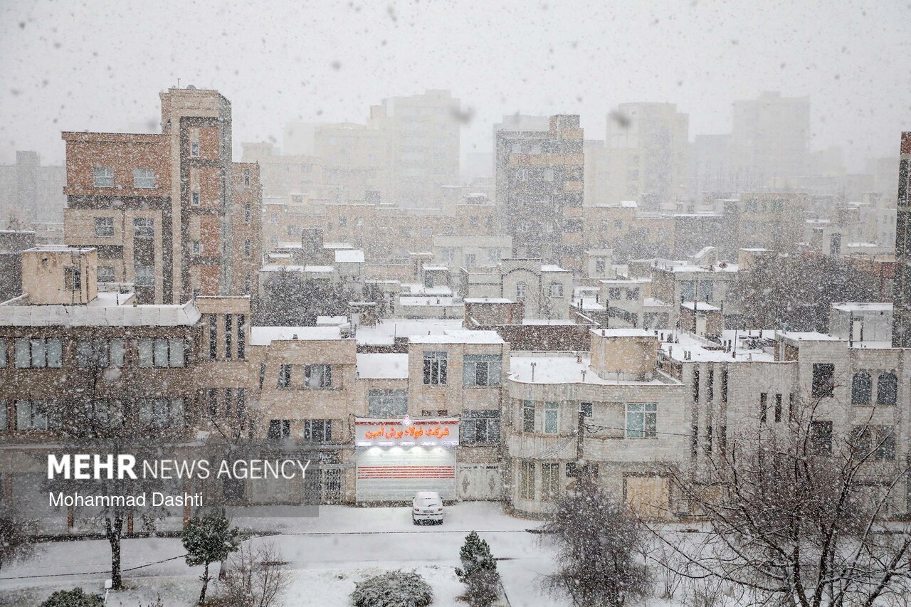 عکس/ بارش برف در اردبیل