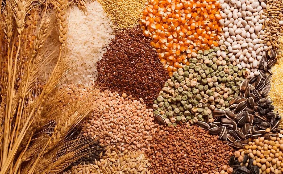 ارائه برات الکترونیک برای تأمین نقدینگی کوتاهمدت نهادهها در استان مرکزی