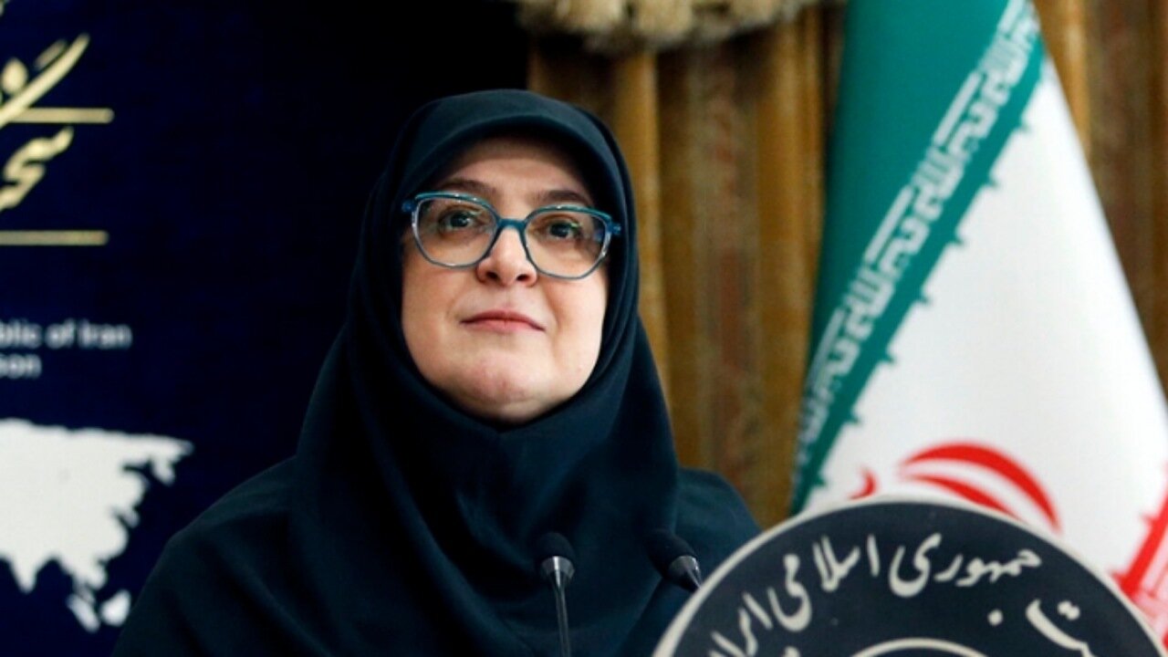 مهاجرانی: بررسی عوامل حوادث دی در دستور کار است/ تلاش حاکمیت دورکردن خطر جنگ از کشور