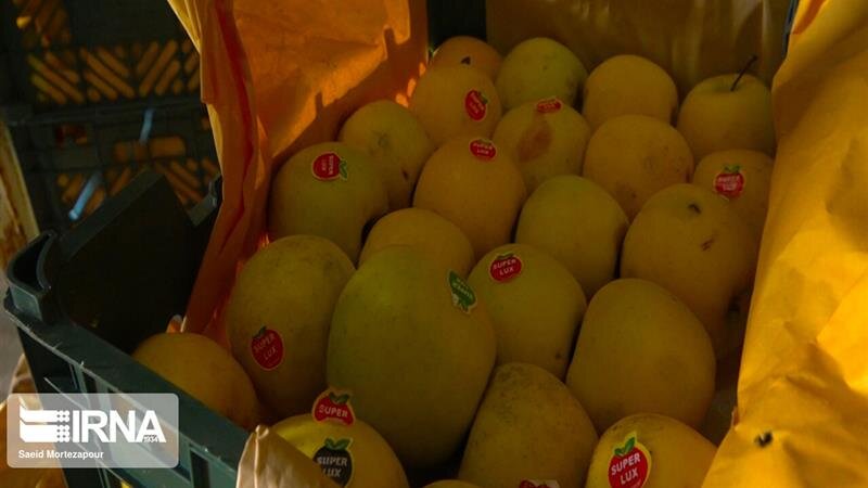 میوه شب عید استان مرکزی تامین شد