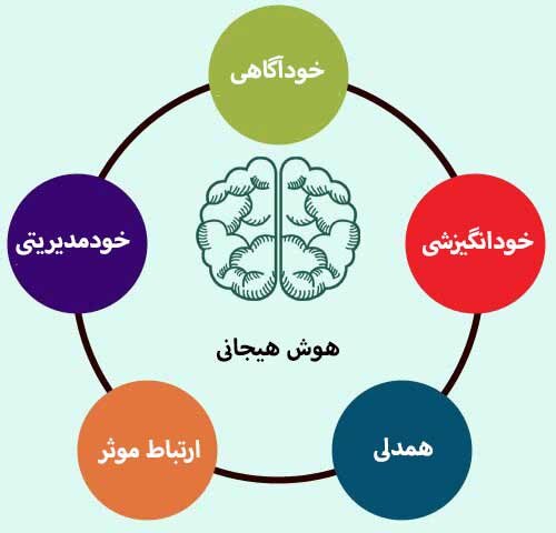 رفتارهای رایج در افراد با هوش هیجانی پایین