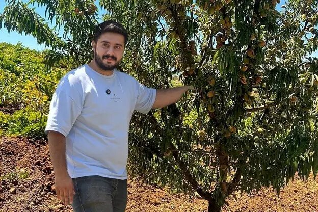 نهالستان نارون کشت؛ بزرگترین تولیدکننده نهال‌های گردو، بادام و صنوبر در ایران