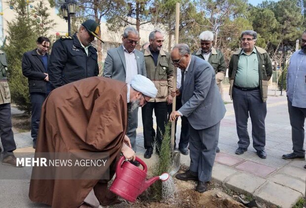 هر شهروند در استان سمنان ۳درخت بکارد؛ ضرورت نگهداری پس از کاشت نهالها