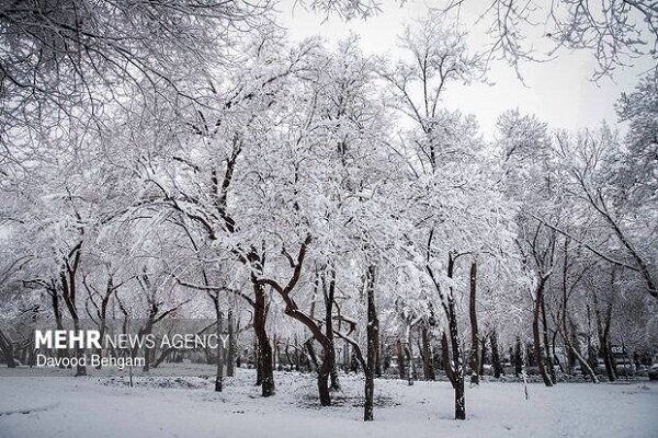 بارش برف و کولاک در اردبیل از شنبه آغاز میشود