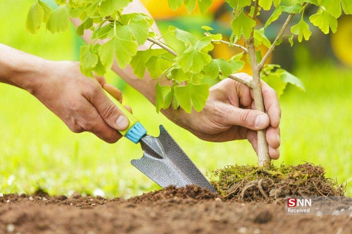 کاشت نهال با نام هر فرد در اطراف فرودگاه