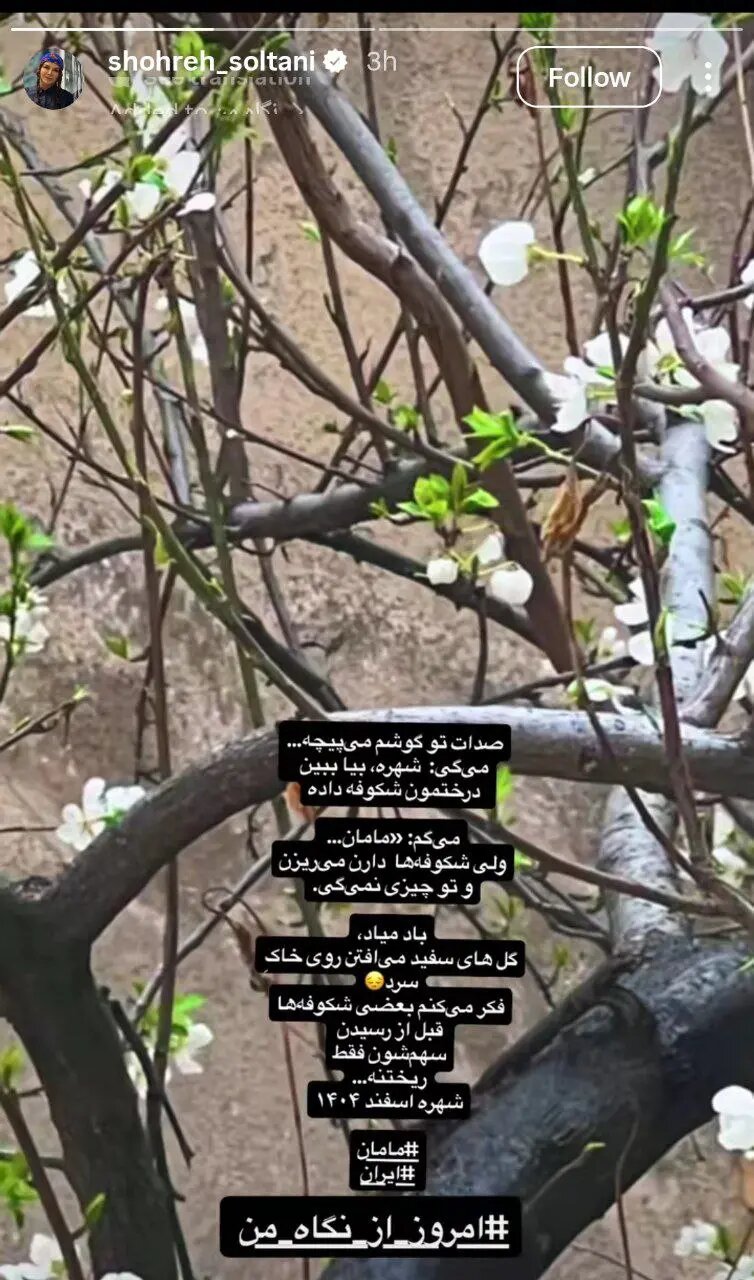 استوری تلخ شهره سلطانی در سوگ عزیزش