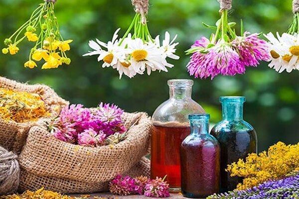 اقتصاد روستایی در ایلام؛ از تولید و اشتغال تا انتظار برای حذف دلالان