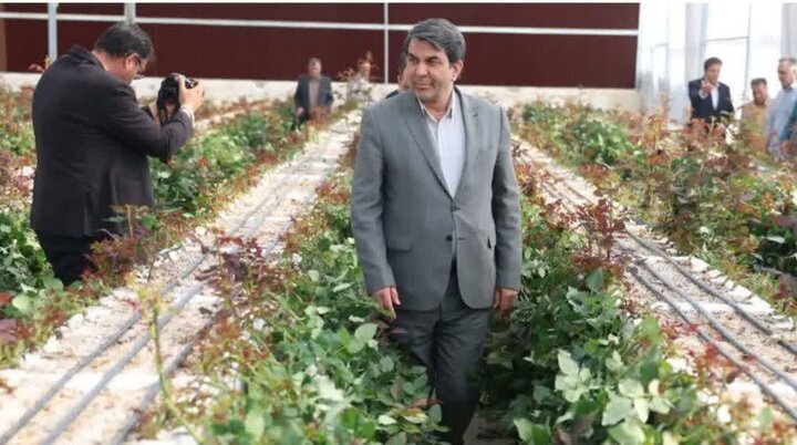 بهرهبرداری از گلخانه مکانیزه هیدروپونیک شهرستان زرند